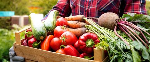 A crate overflowing with a harvest of vegetables.